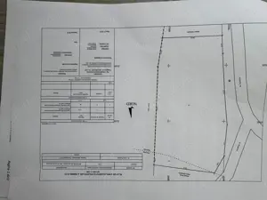   Vand teren intravilan in com Brazi, sat Stejaru, jud Prahova - imagine 2