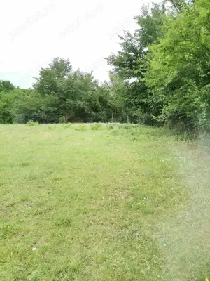   Vand teren intravilan in com Brazi, sat Stejaru, jud Prahova - imagine 5