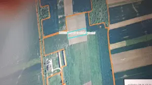 vand teren extravilan Ianova - imagine 2