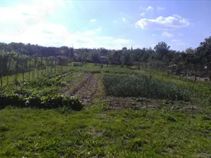 Casă de vânzare Barsa , Arad  - imagine 3 Casă de vânzare Barsa , Arad  - imagine 3