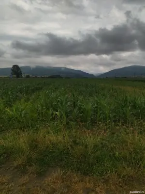 Teren de vînzare  - imagine 4