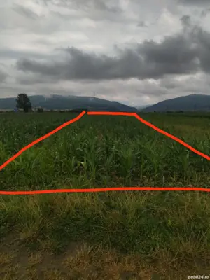 Teren de vînzare  - imagine 3