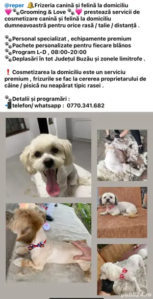 Tuns caini si pisici  - imagine 5