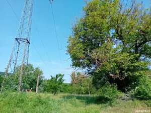 Vând Teren Intravilan Băbana Cotmenița  - imagine 3