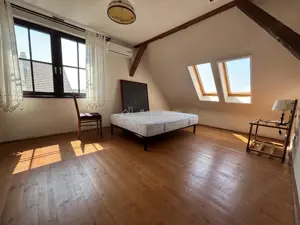 Proprietate de patrimoniu pe malul lacului Paleu - Teren 2.300 mp - piscina - Coliba lui Horea – cas - imagine 12