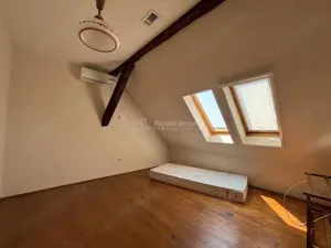 Proprietate de patrimoniu pe malul lacului Paleu - Teren 2.300 mp - piscina - Coliba lui Horea – cas - imagine 16