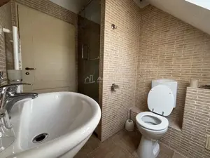 Proprietate de patrimoniu pe malul lacului Paleu - Teren 2.300 mp - piscina - Coliba lui Horea – cas - imagine 13