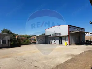 Spațiu industrial de vânzare în Sângeorgiu de Pădure, județul Mureș - imagine 10