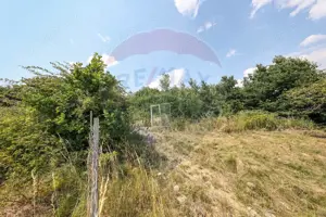 Teren cu priveliste superba in Vulcan - imagine 8