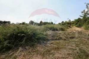 Teren cu priveliste superba in Vulcan - imagine 5