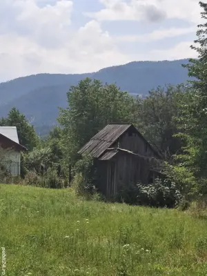 Teren-grădină  de vânzare ! - imagine 7
