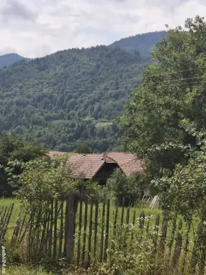 Teren-grădină  de vânzare ! - imagine 3