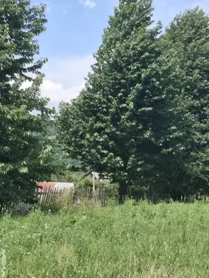 Teren-grădină  de vânzare ! - imagine 4