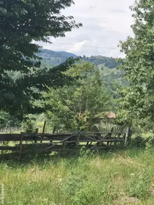 Teren-grădină  de vânzare ! - imagine 5