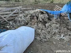 lana de oaie - imagine 5