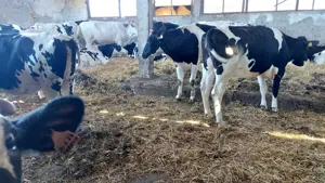 Ferma agrozootehnica vinde