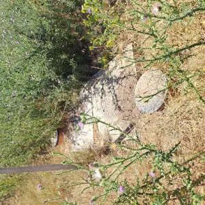 teren intravilan 500 mp Poarta Alba - imagine 5