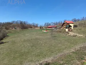 Pensiune cu Potential  #238;n Stramba + 32 ari teren - imagine 2