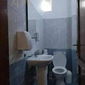 Pensiune cu Potential  #238;n Stramba + 32 ari teren - imagine 14