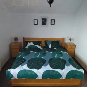 Pensiune cu Potential  #238;n Stramba + 32 ari teren - imagine 11