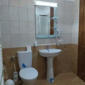 Pensiune cu Potential  #238;n Stramba + 32 ari teren - imagine 12