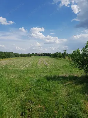 Vând proprietate în Miersig, jud.Bihor, la aproximativ 20 km de Oradea. - imagine 4