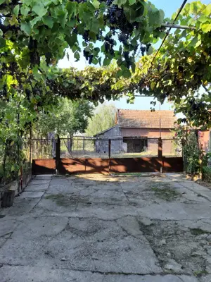 Vând proprietate în Miersig, jud.Bihor, la aproximativ 20 km de Oradea. - imagine 2