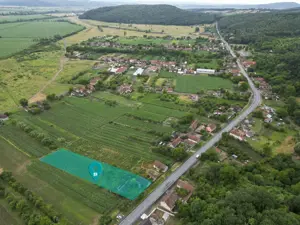 Casă tradiţională cu anexe în ODVOŞ, comuna Conop. - imagine 8