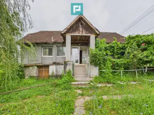 Casă tradiţională cu anexe în ODVOŞ, comuna Conop. - imagine 6