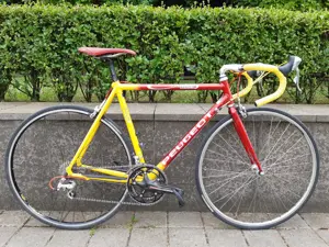 Cursiera Peugeot 5000 Team Line