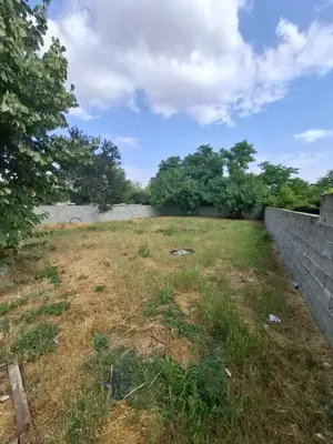 Casa de vanzare Botarlau - imagine 14