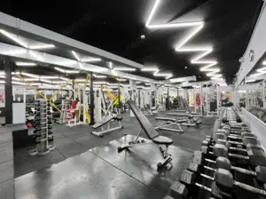 Zona Pantelimon Mega Mall  Sp 1200 mp inchiriat - imagine 2