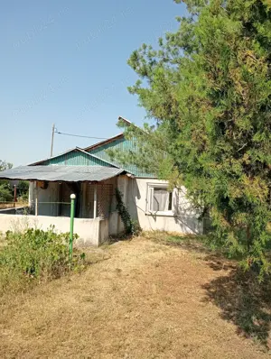 Vând casă cu 2500 mp teren - imagine 4