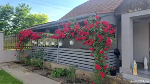 casa dd vanzare in timisoara  - imagine 3