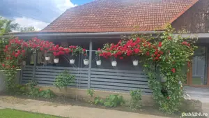 casa dd vanzare in timisoara  - imagine 4