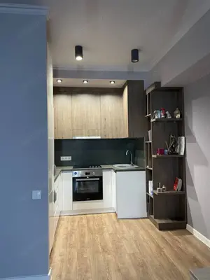 Apartament cu 2 camere de inchiriat in zona Vlahuta - imagine 3