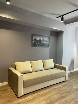 Apartament cu 2 camere de inchiriat in zona Vlahuta - imagine 2