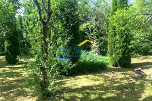 Vila de vanzare, Provita de Sus Prahova - imagine 20