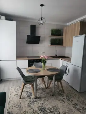 Apartament cu 2 camere de inchiriat in zona Centrul Nou - imagine 3