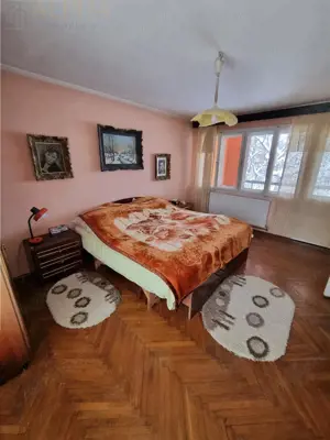 Casa de vanzare in Sangeorz-Bai - imagine 18