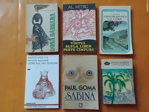 Lot 1, 12 cărți în limba română 