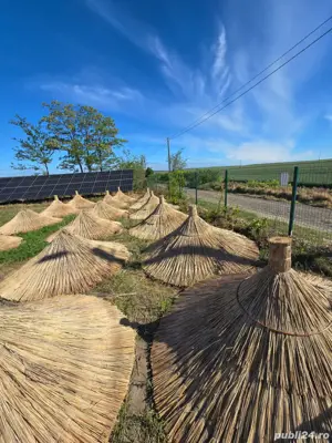 umbrela rustica cu stuf-umbrela naturala