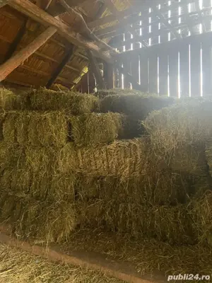 Vand baloti lucerna - imagine 3