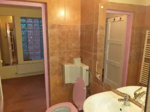 Dau in chirie casa in Cluj Napoca la 100 m de UMF IULIU HATIEGANU - imagine 5