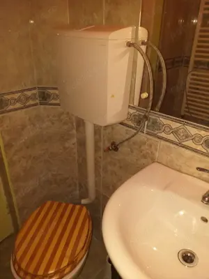 Dau in chirie casa in Cluj Napoca la 100 m de UMF IULIU HATIEGANU - imagine 7