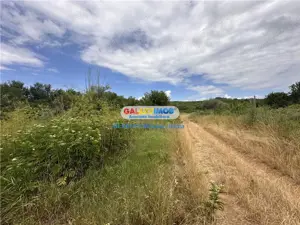 Vanzare teren 60000 mp, in Plopu, la 10 km de Ploiesti - imagine 2
