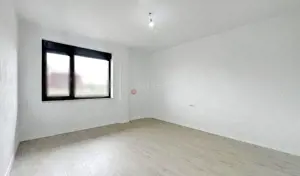 Zona Linistita Structura Generoasa