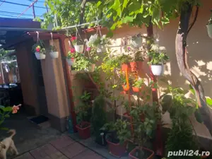 vand casa 480 mp - imagine 4