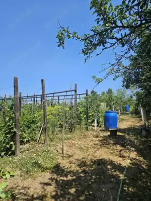 Casă de vânzare în Balș  - imagine 10 Casă de vânzare în Balș  - imagine 10