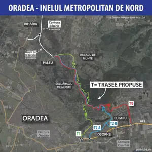  Teren intravilan 3.000 mp  Săldăbagiu de Munte,la doar 8 min de Oradea - imagine 7